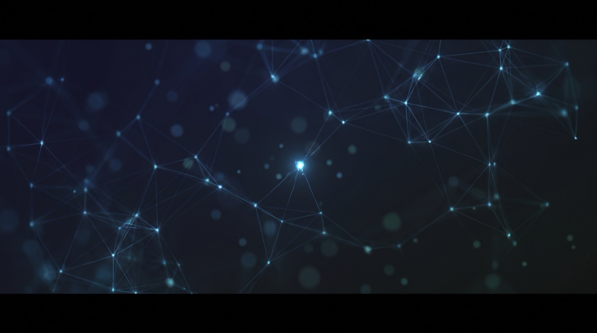 AI and the Future of Niche Brands